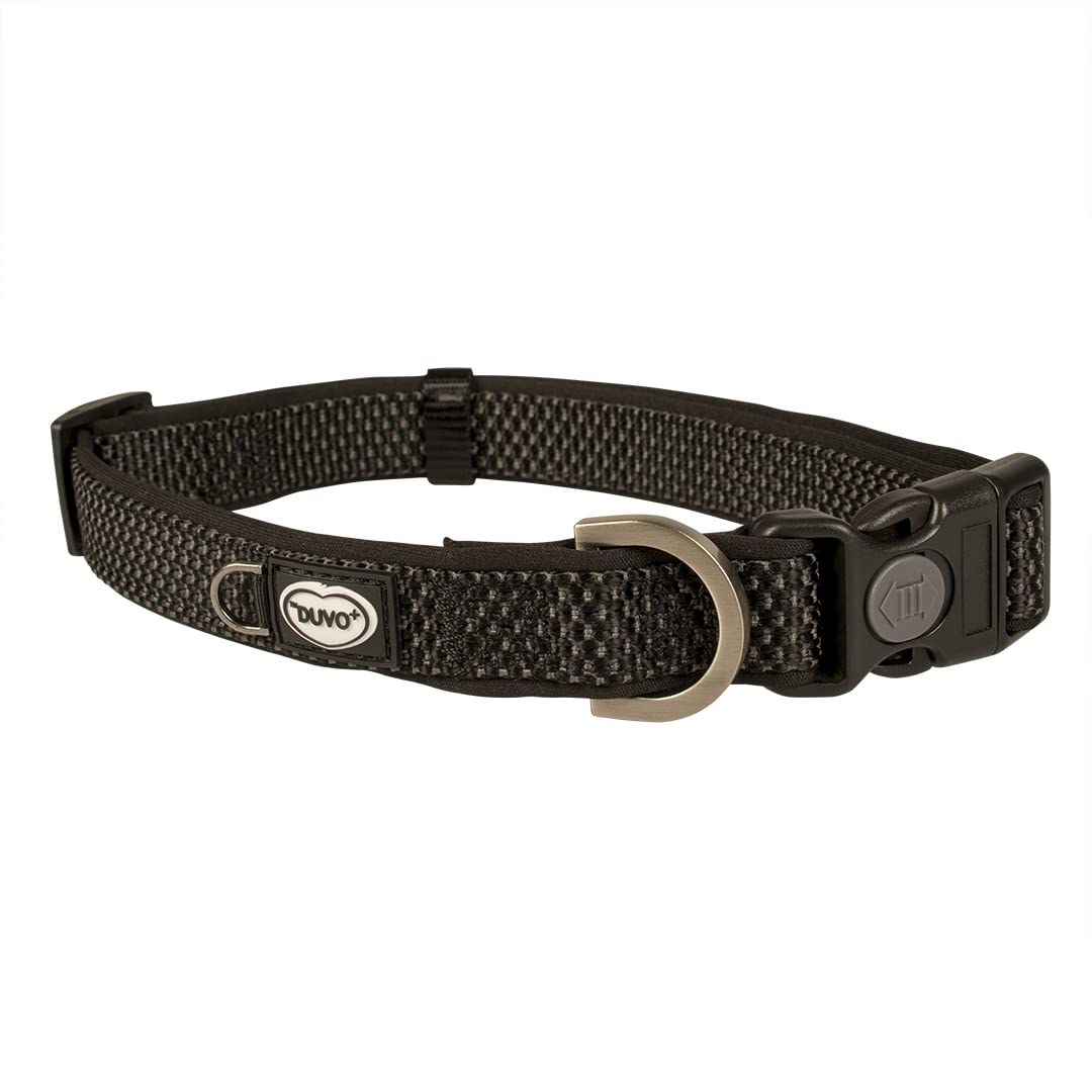 Explor East Leash & Collar XL