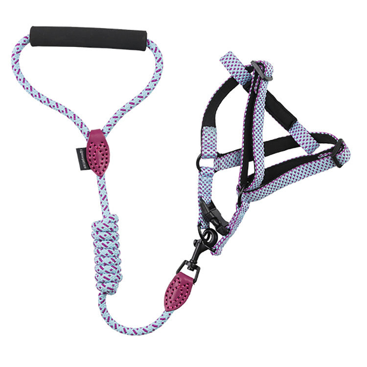 Leash+Harness Dotted
