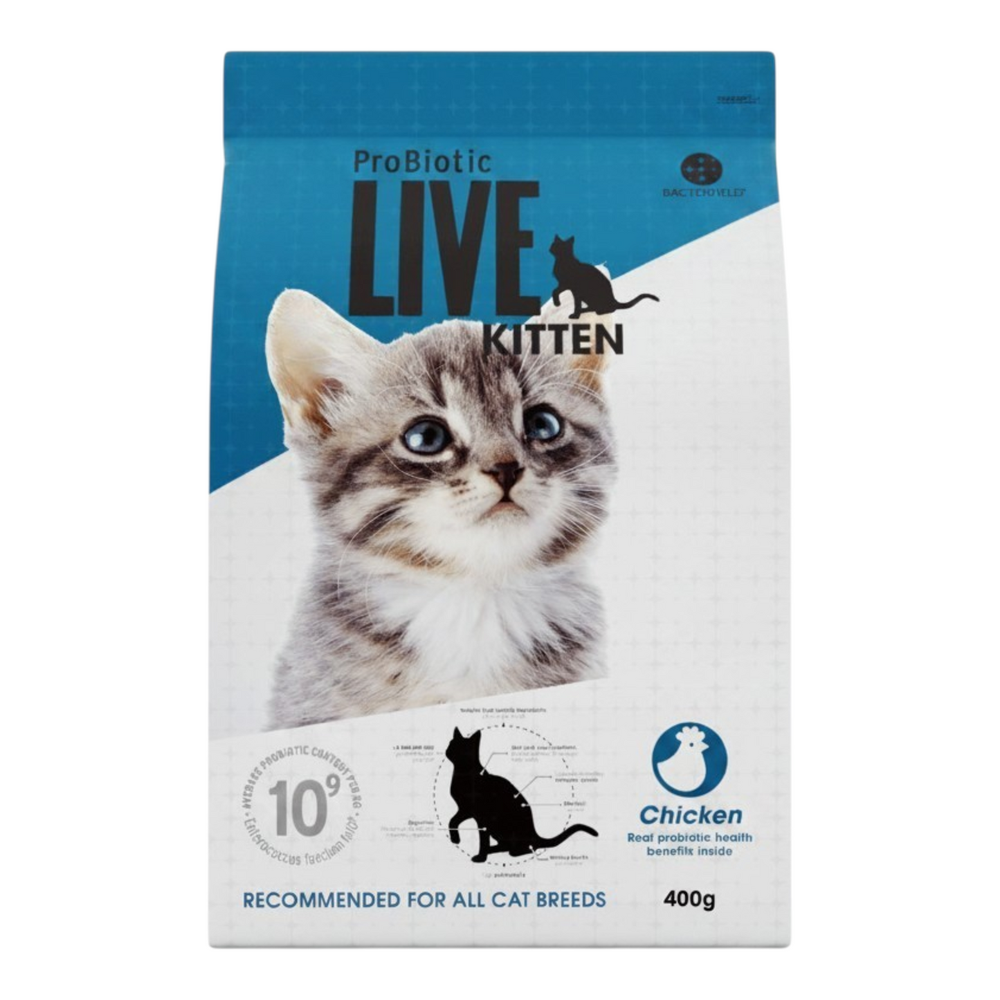 Live Kitten Chicken