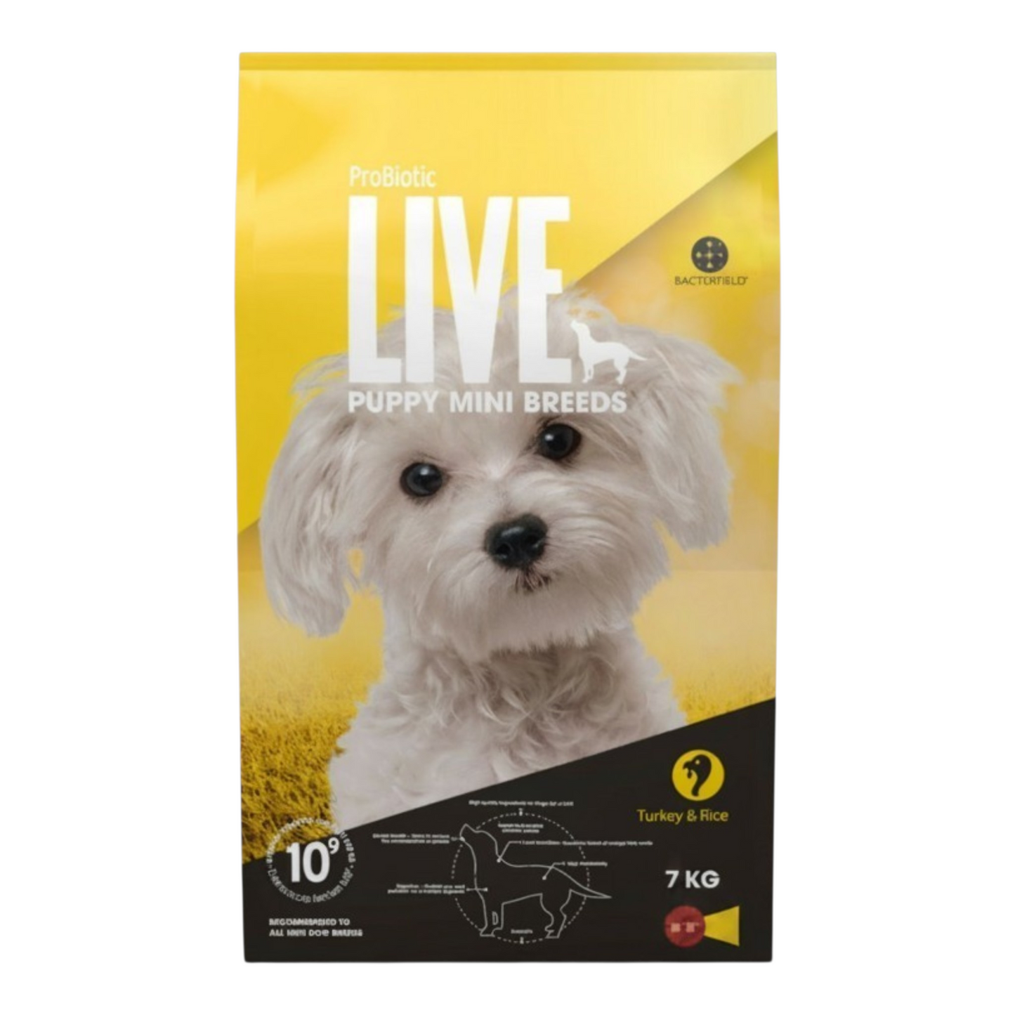 Live Puppy Mini Breeds Turkey