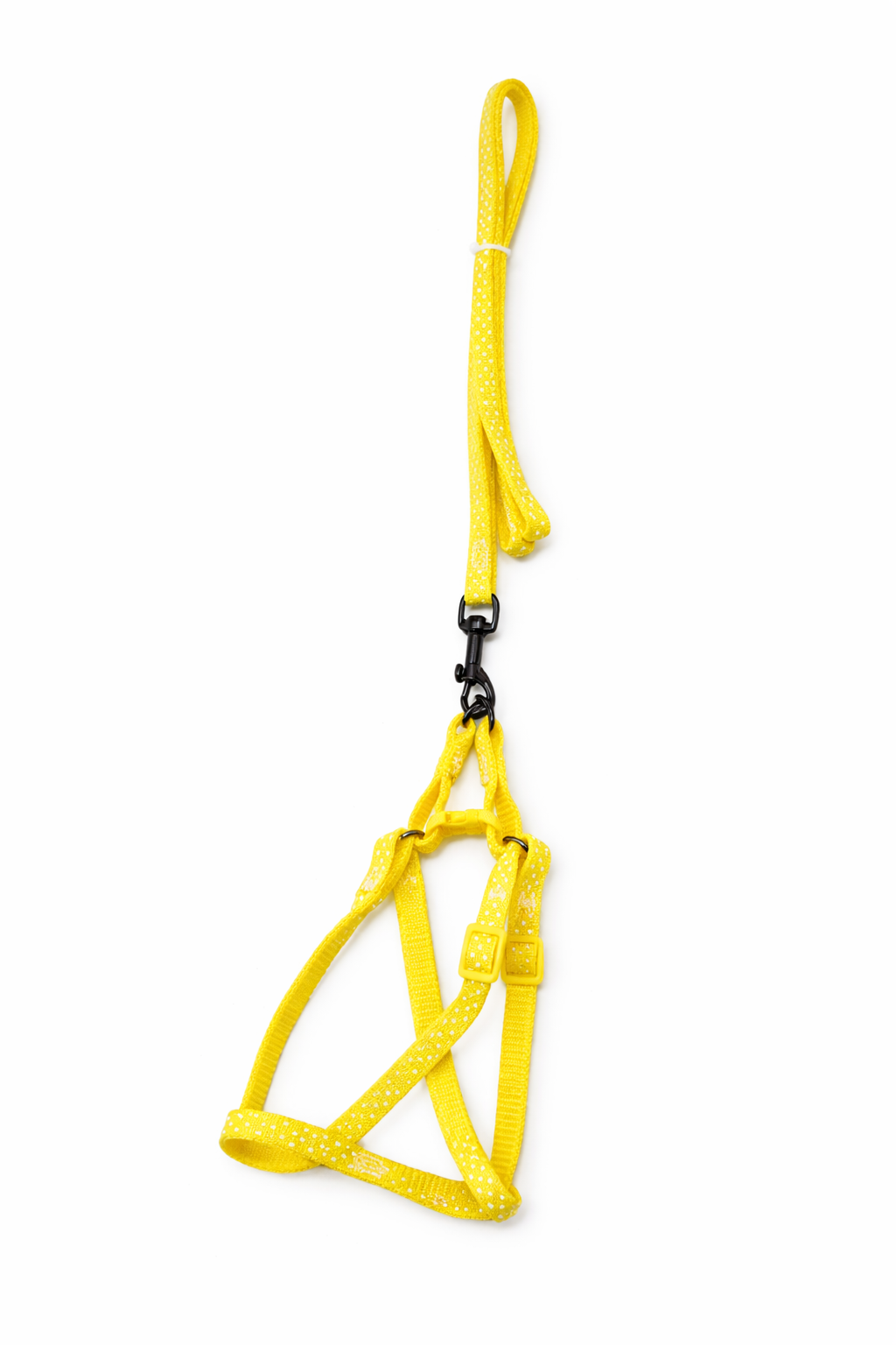 Leash and Harness Dotted Multicoloured For Cats and Small Dogs