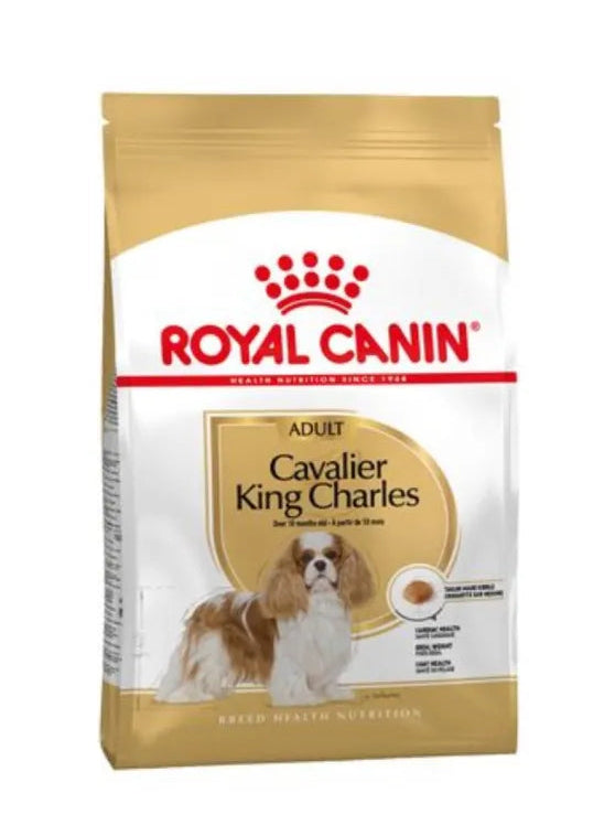 Royal Canin Adult Cavalier King Charles