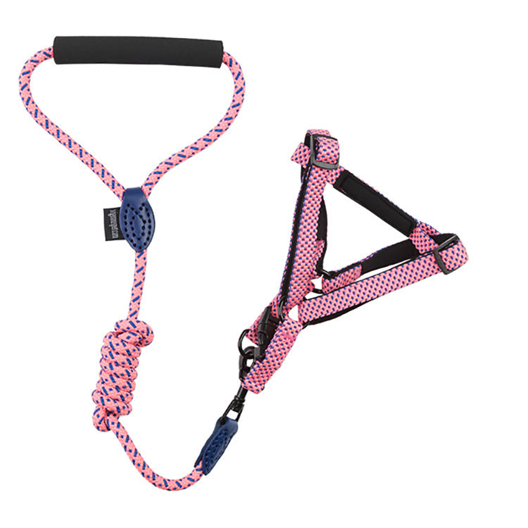 Leash+Harness Dotted