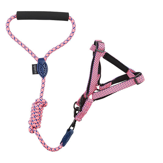 Leash+Harness Dotted