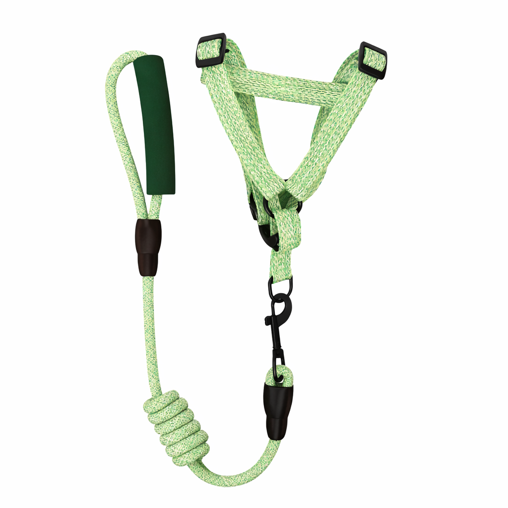 Twisted Round Leash + Harness with Foam