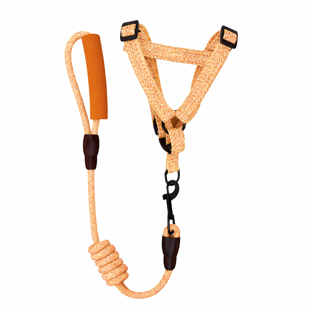 Twisted Round Leash + Harness with Foam
