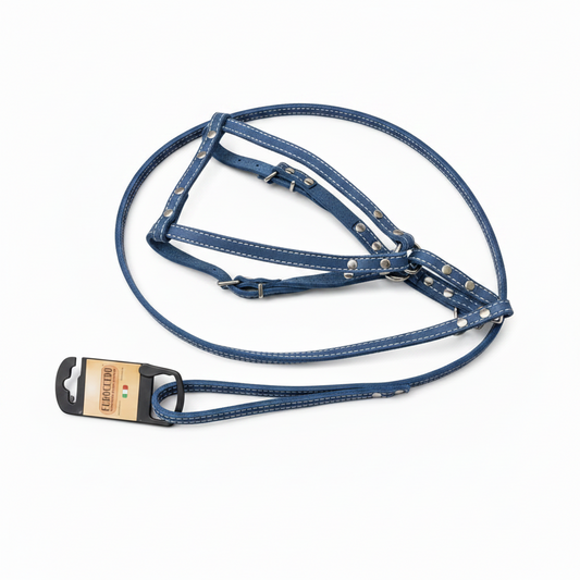 Real Leather Harness + Leash