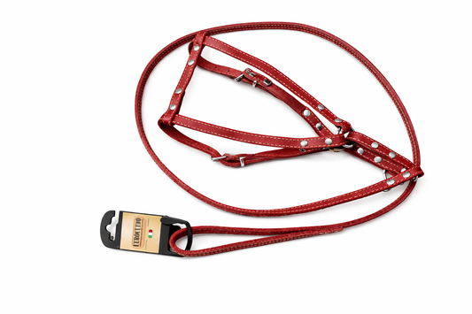 Real Leather Harness + Leash