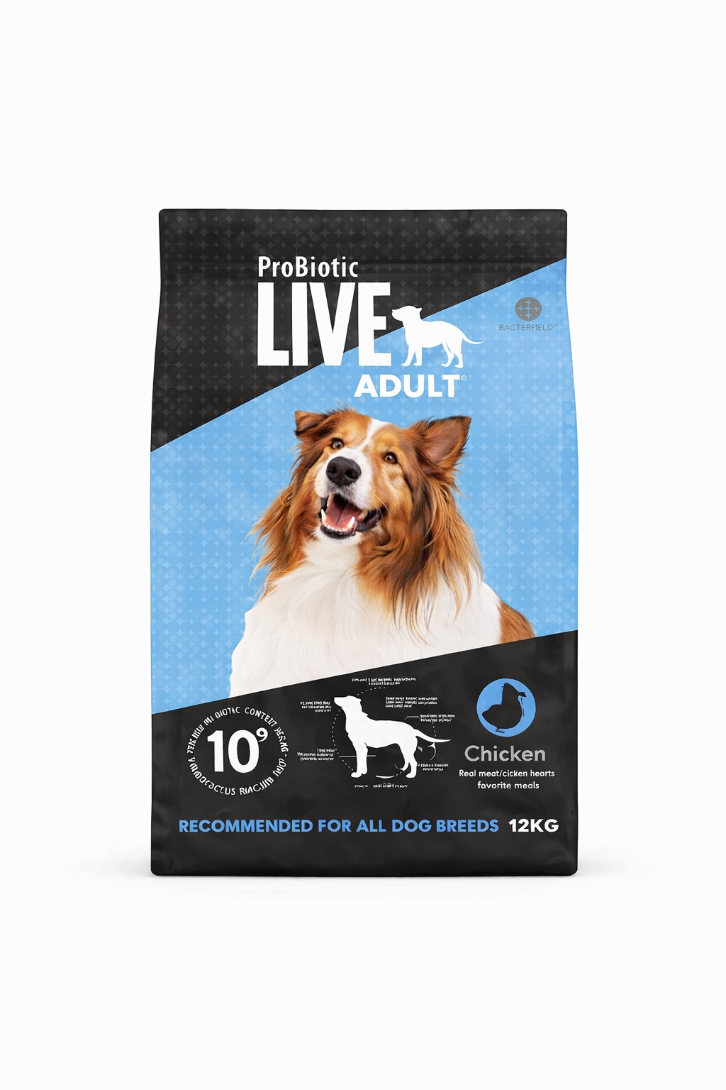 Live Adult Chicken for Dogs