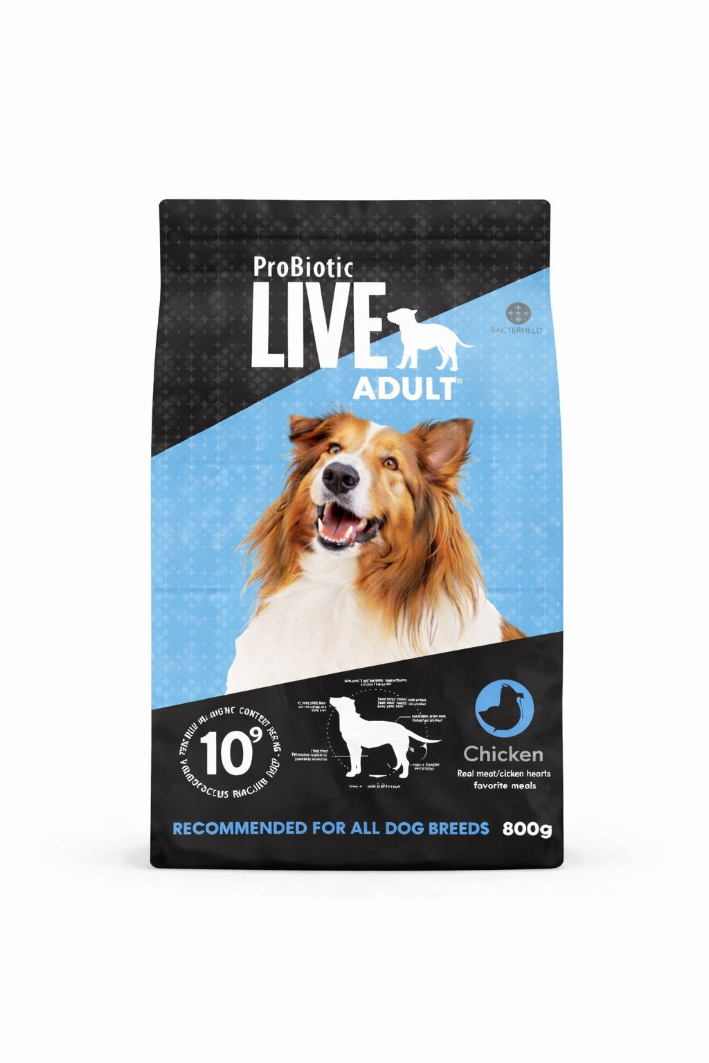 Live Adult Chicken for Dogs