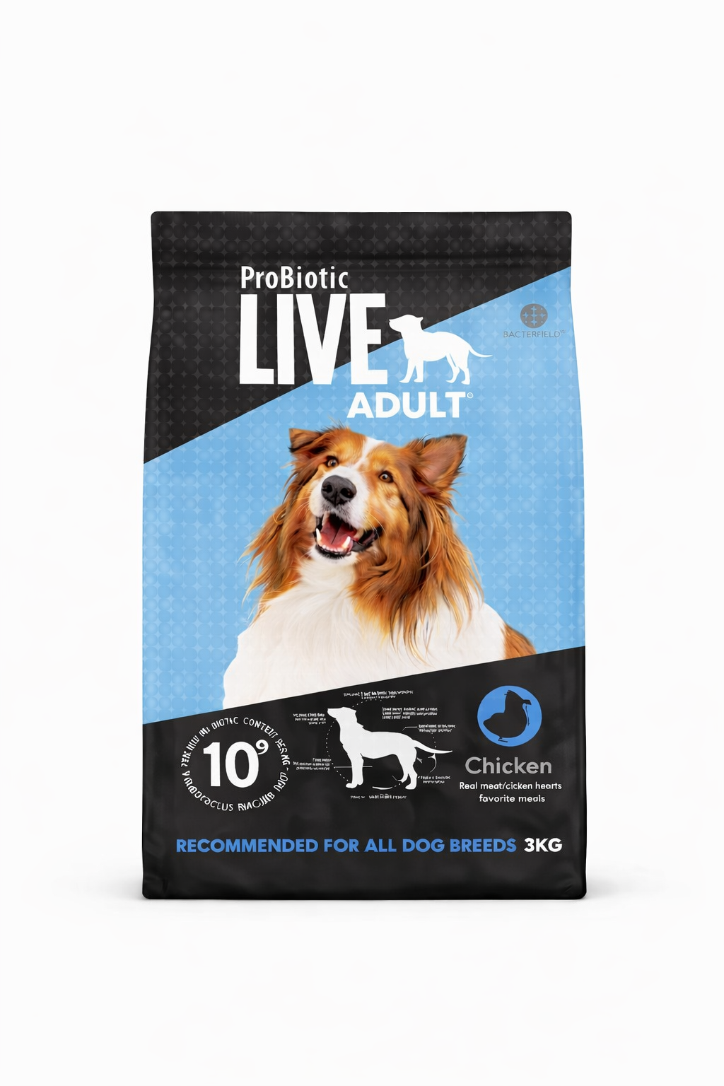 Live Adult Chicken for Dogs
