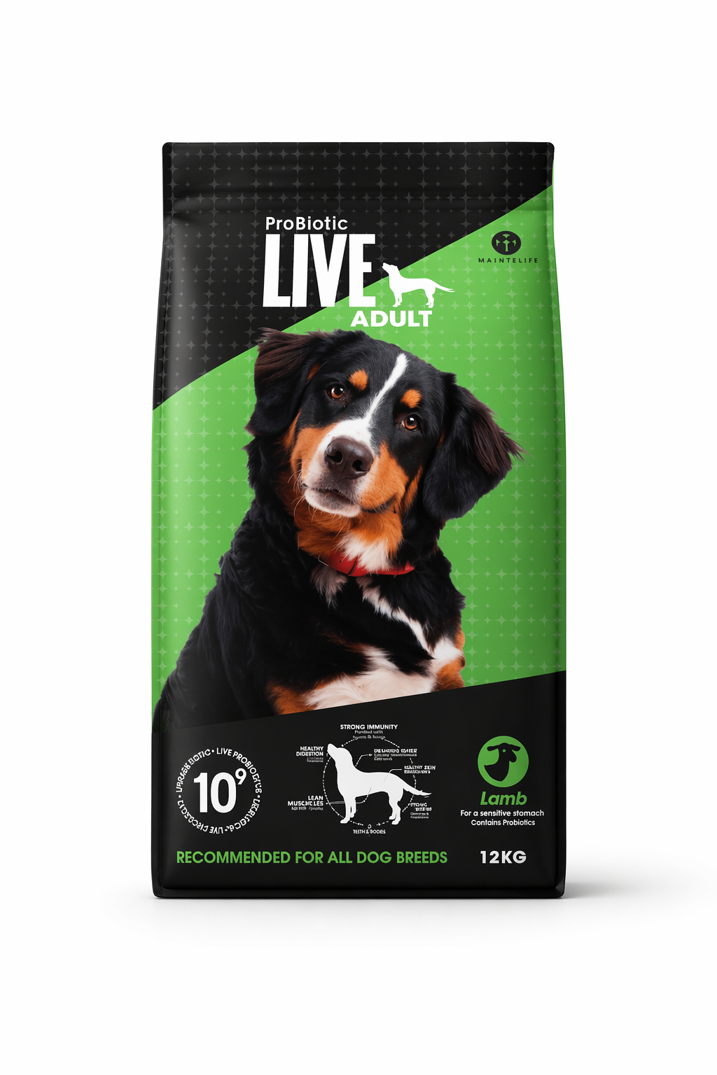 Live Adult Lamb for dogs