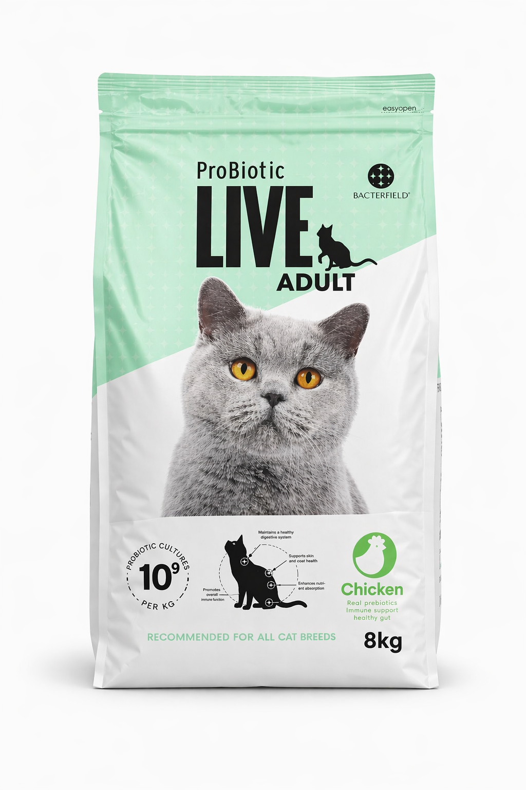 Live Adult Chicken for cats
