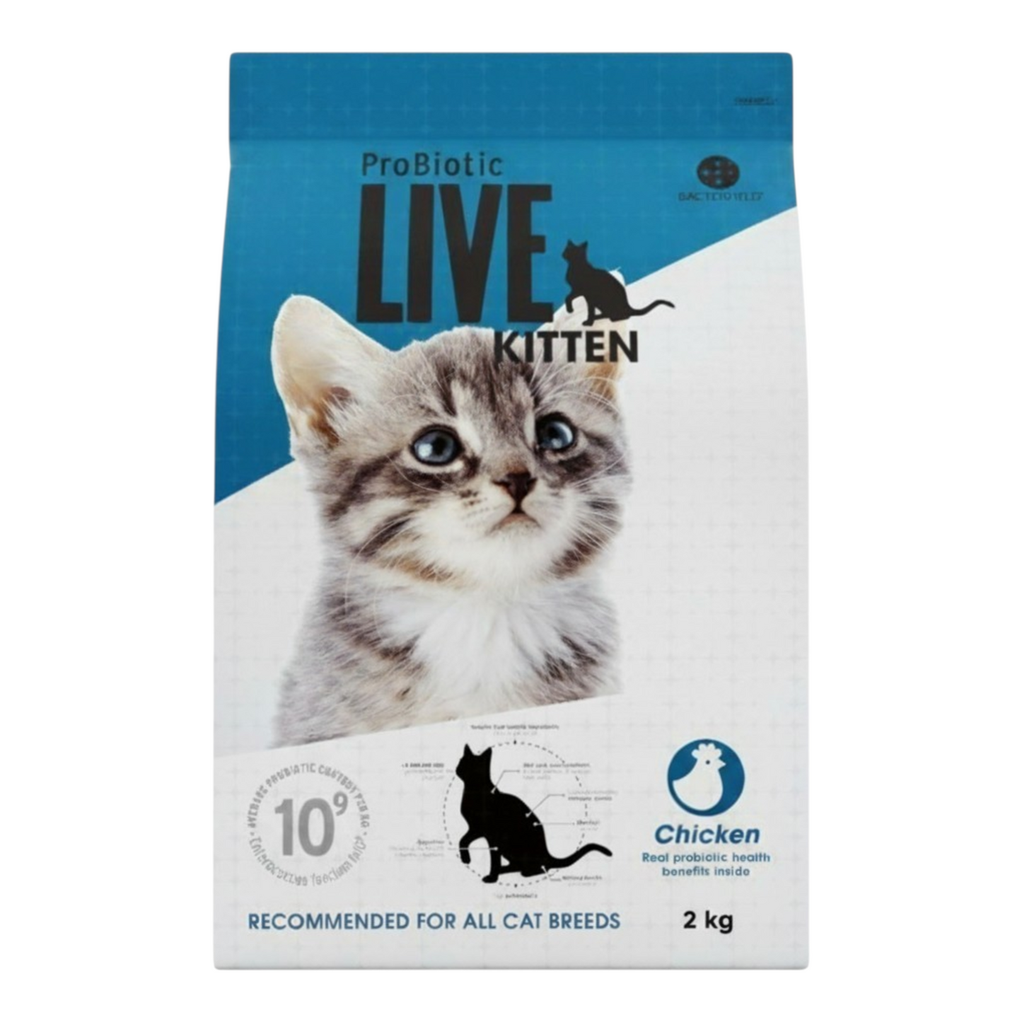 Live Kitten Chicken