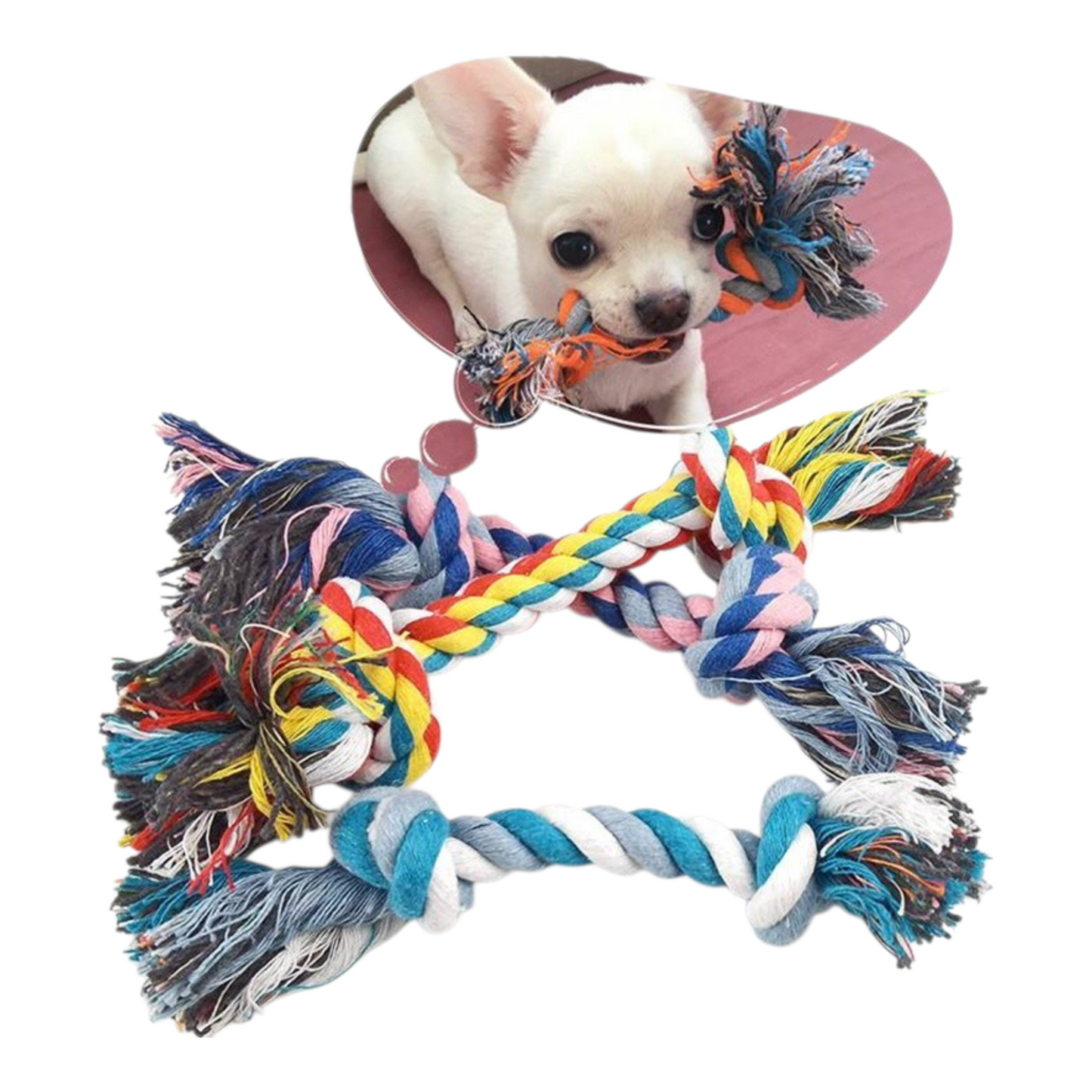 Rope Bone & Tug