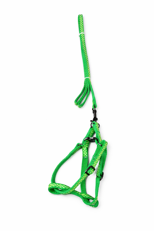 Leash and Harness Dotted Multicoloured For Cats and Small Dogs