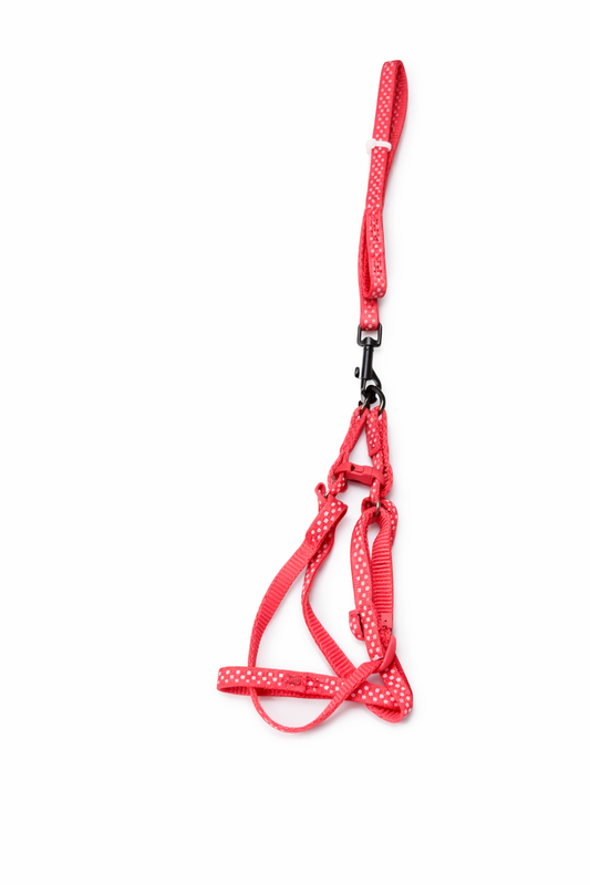 Leash and Harness Dotted Multicoloured For Cats and Small Dogs