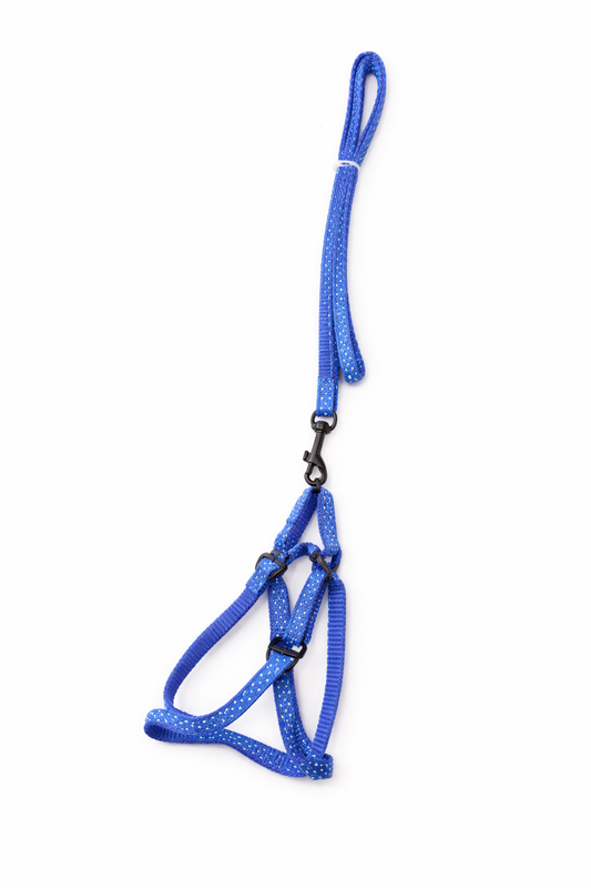 Leash and Harness Dotted Multicoloured For Cats and Small Dogs (Copy 2)