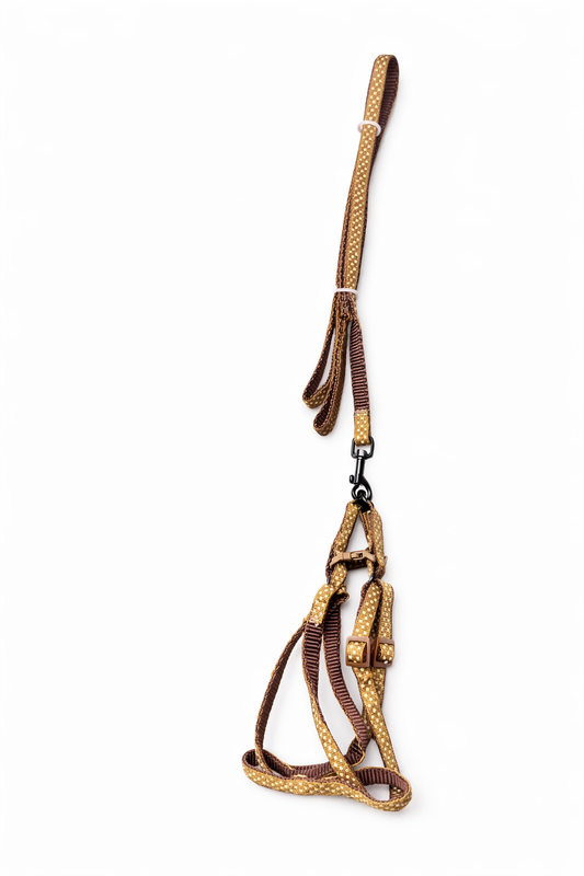 Leash and Harness Dotted Multicoloured For Cats and Small Dogs