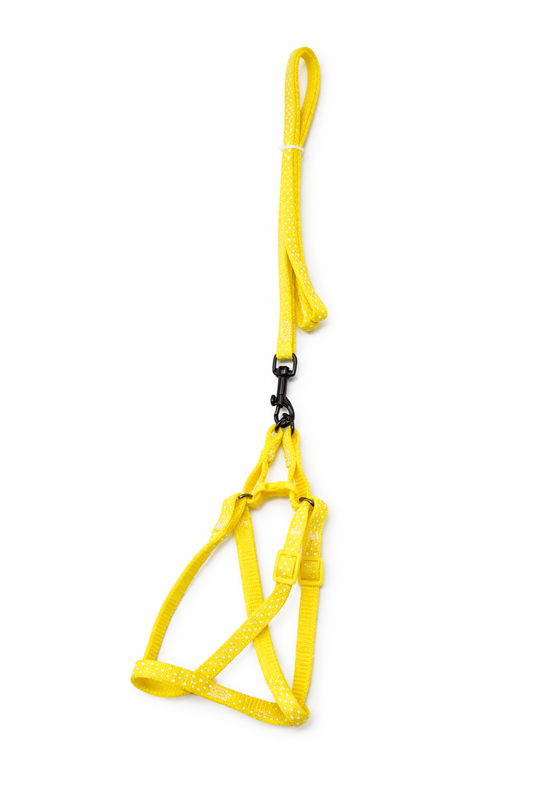 Leash and Harness Dotted Multicoloured For Cats and Small Dogs