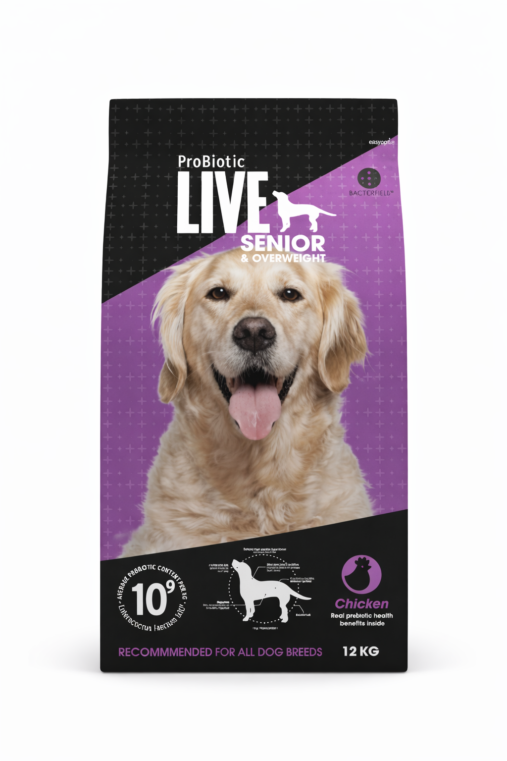Live Adult senior & over weight Chicken
