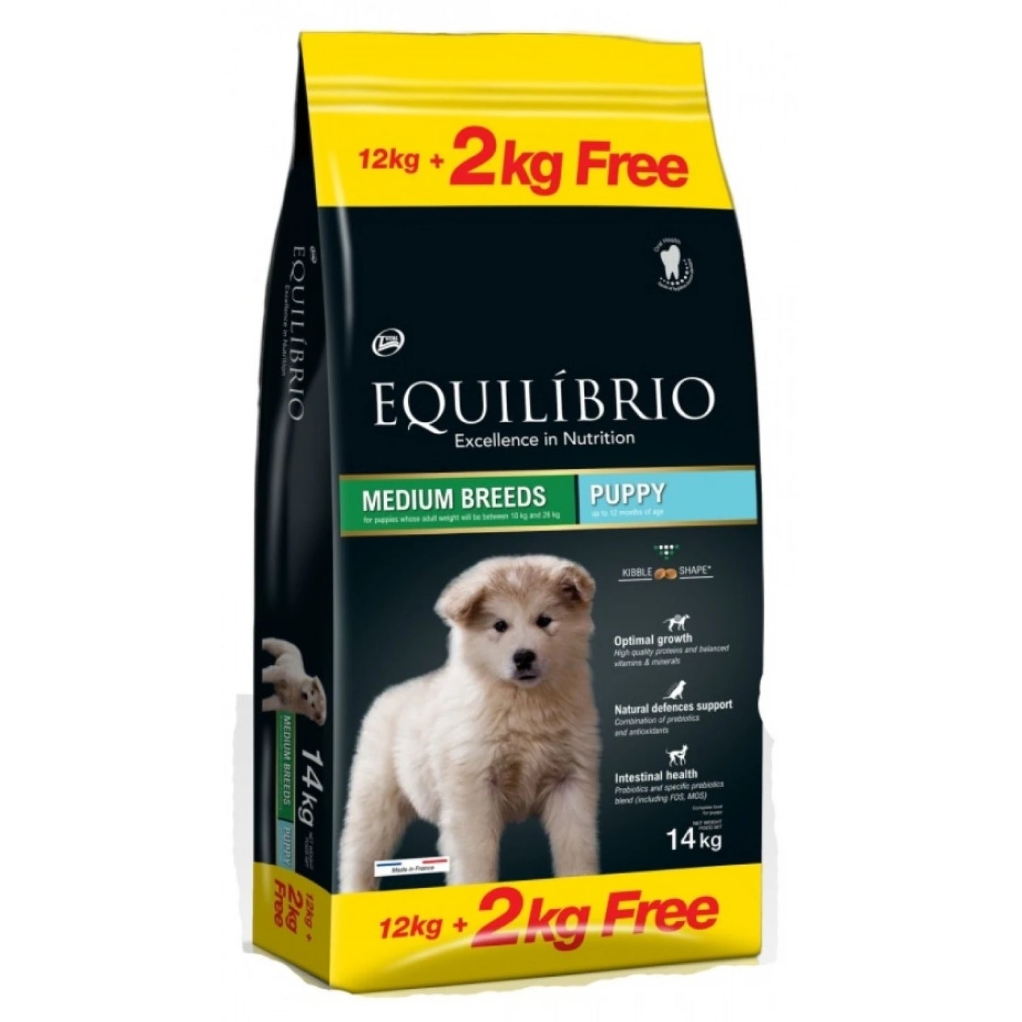 Equilíbrio Dog Medium Breeds Puppy