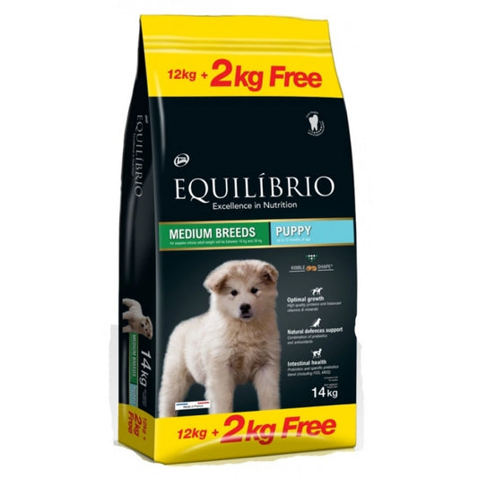 Equilíbrio Dog Medium Breeds Puppy