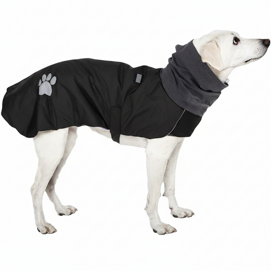 Waterproof Jacket 5xl 6xl
