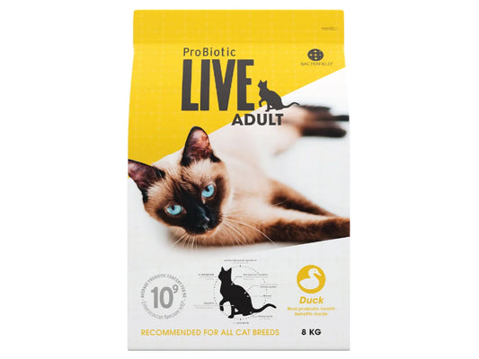 Live Cat Adult Duck