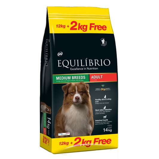Equilíbrio Dog Medium Breeds Adult