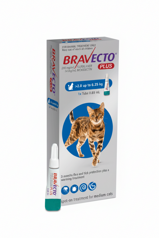 Bravecto Plus Cat