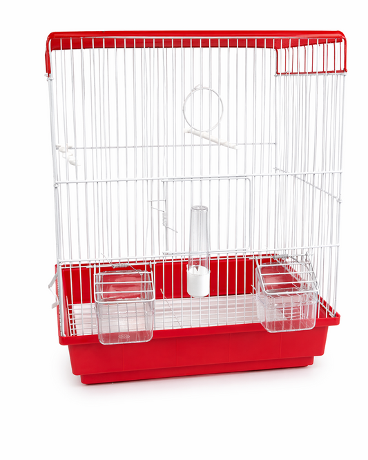 Bird Cage Lima