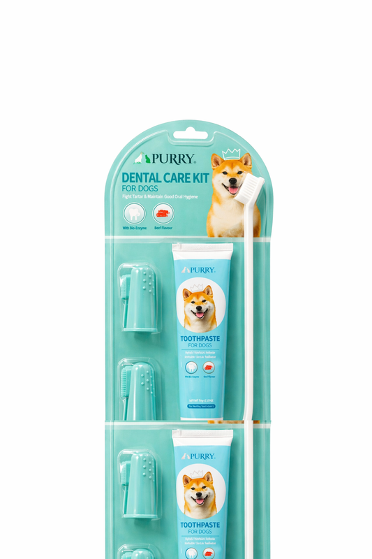 Dental Care Kit + Toothpaste