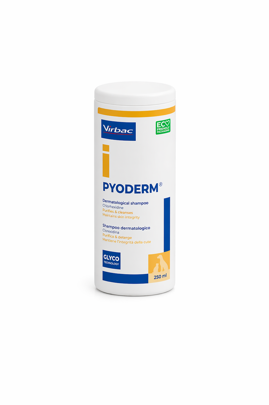 Antiseptique Shampoo Pyoderm 250ml