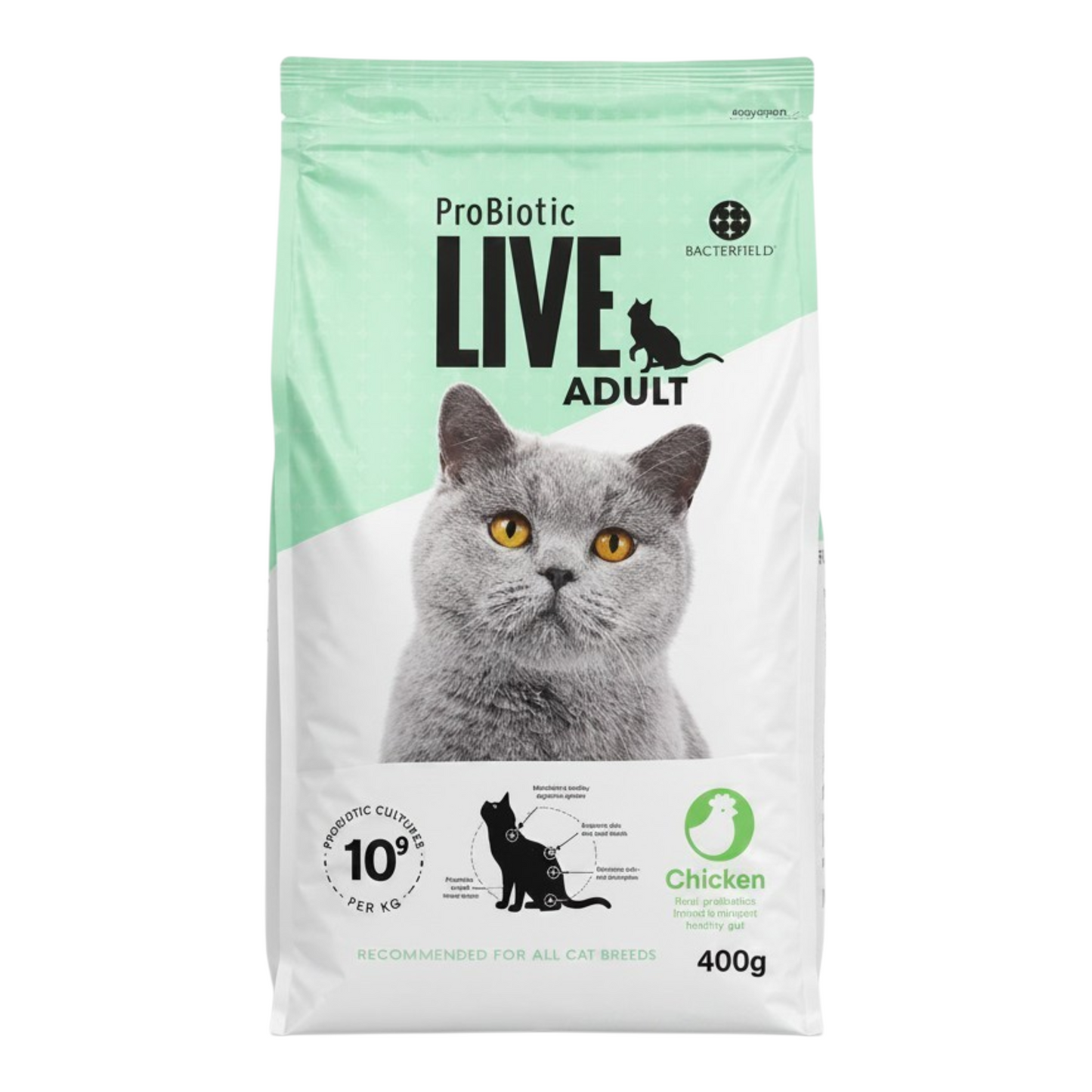Live Adult Chicken for cats