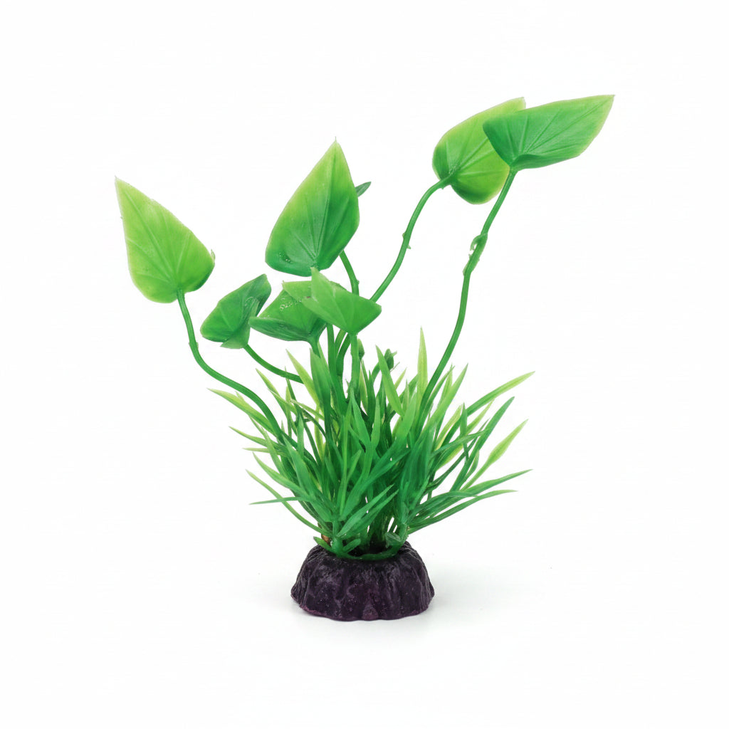 Plastic plant