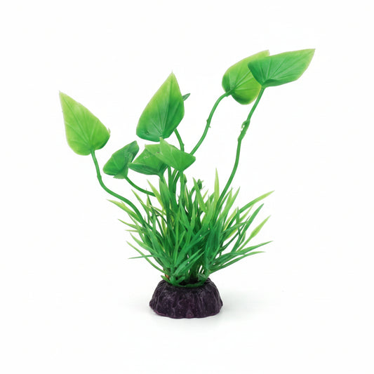 Plastic plant