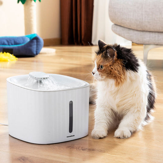 Cat Water Fountain 3L
