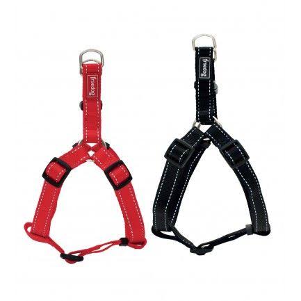 Extra Large Harness with Leach 4XL