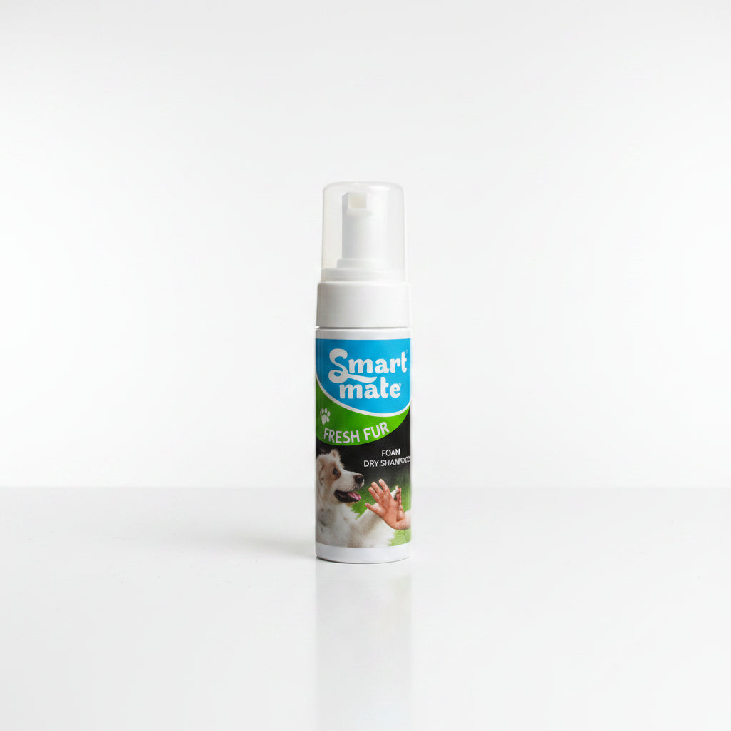 Dry Shampoo Foaming No-Rinse
