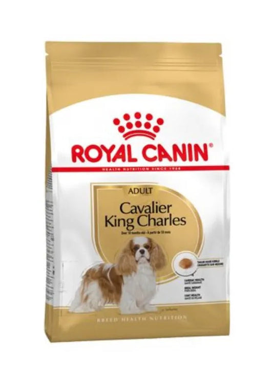 Royal Canin Adult Cavalier King Charles