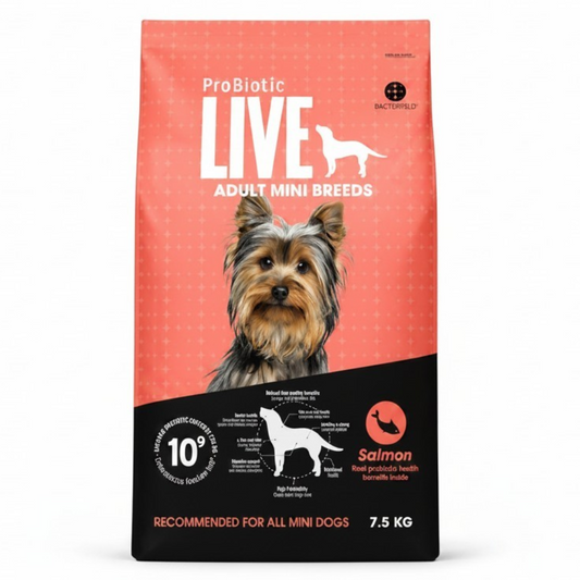 Live Adult Mini Breeds Salmon