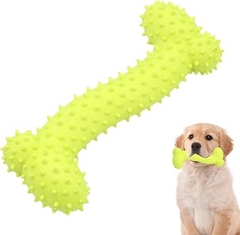 Dog Bone Green Toy